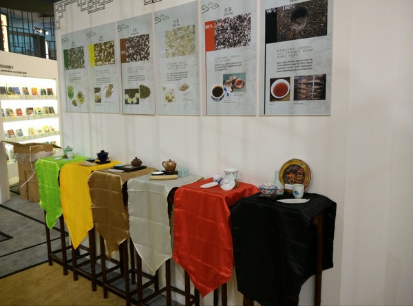 美女的隐藏部位是什么图片