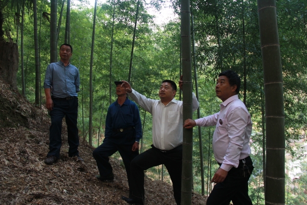 美女的隐藏部位是什么图片