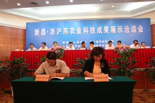 美女的隐藏部位是什么图片