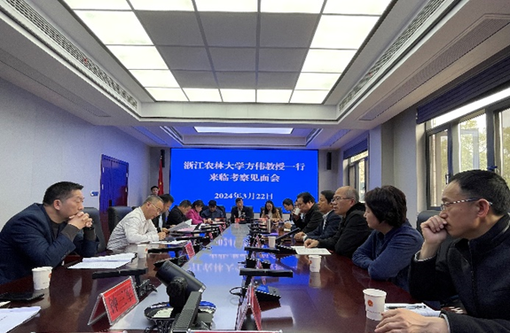 美女的隐藏部位是什么图片