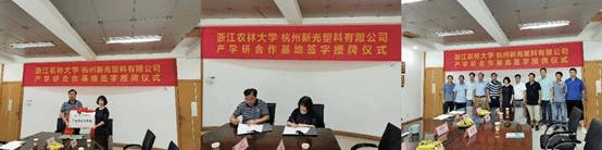美女的隐藏部位是什么图片