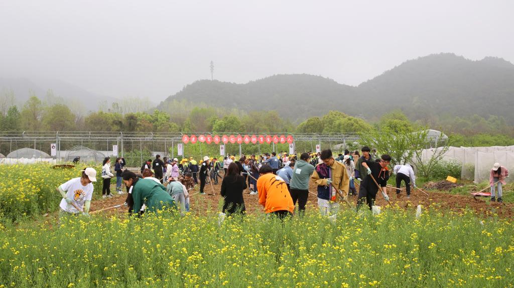 美女的隐藏部位是什么图片