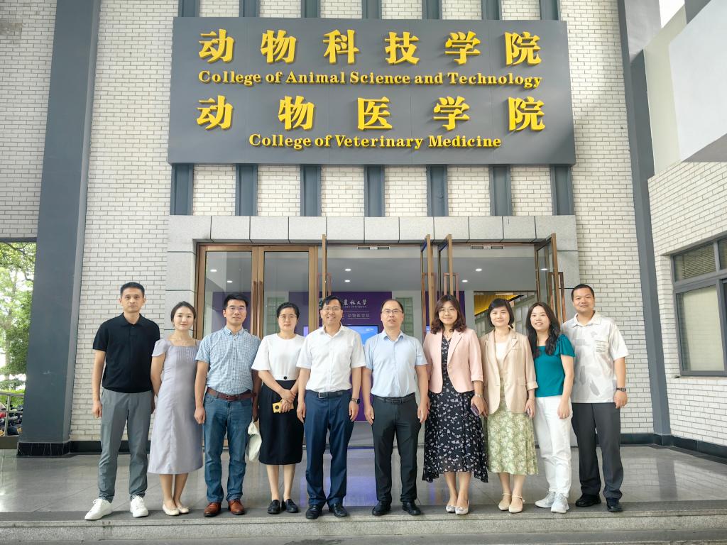 美女的隐藏部位是什么图片