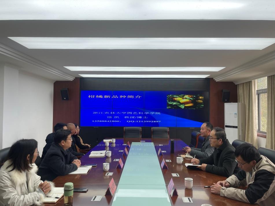 美女的隐藏部位是什么图片