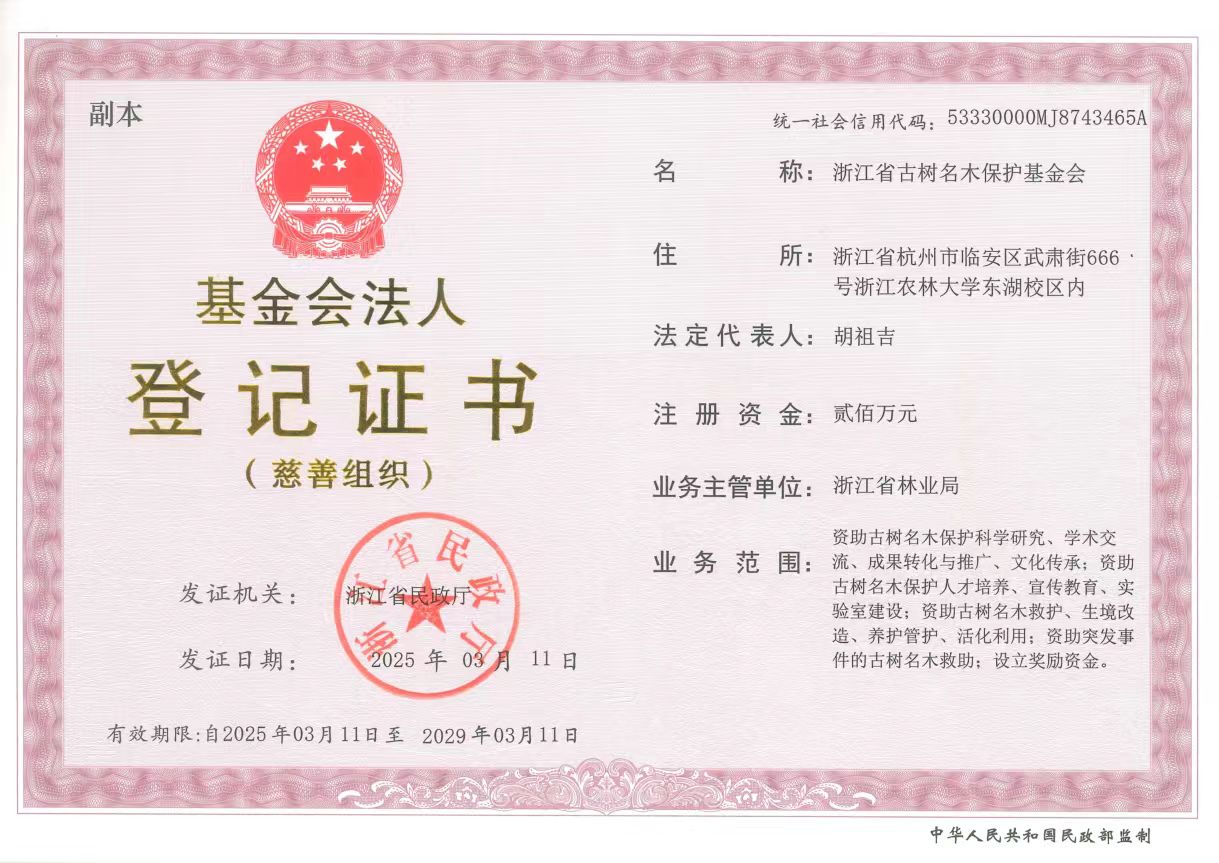 美女的隐藏部位是什么图片
