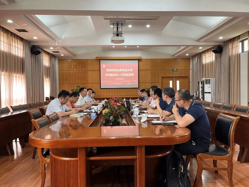 美女的隐藏部位是什么图片