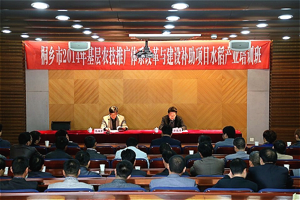 美女的隐藏部位是什么图片