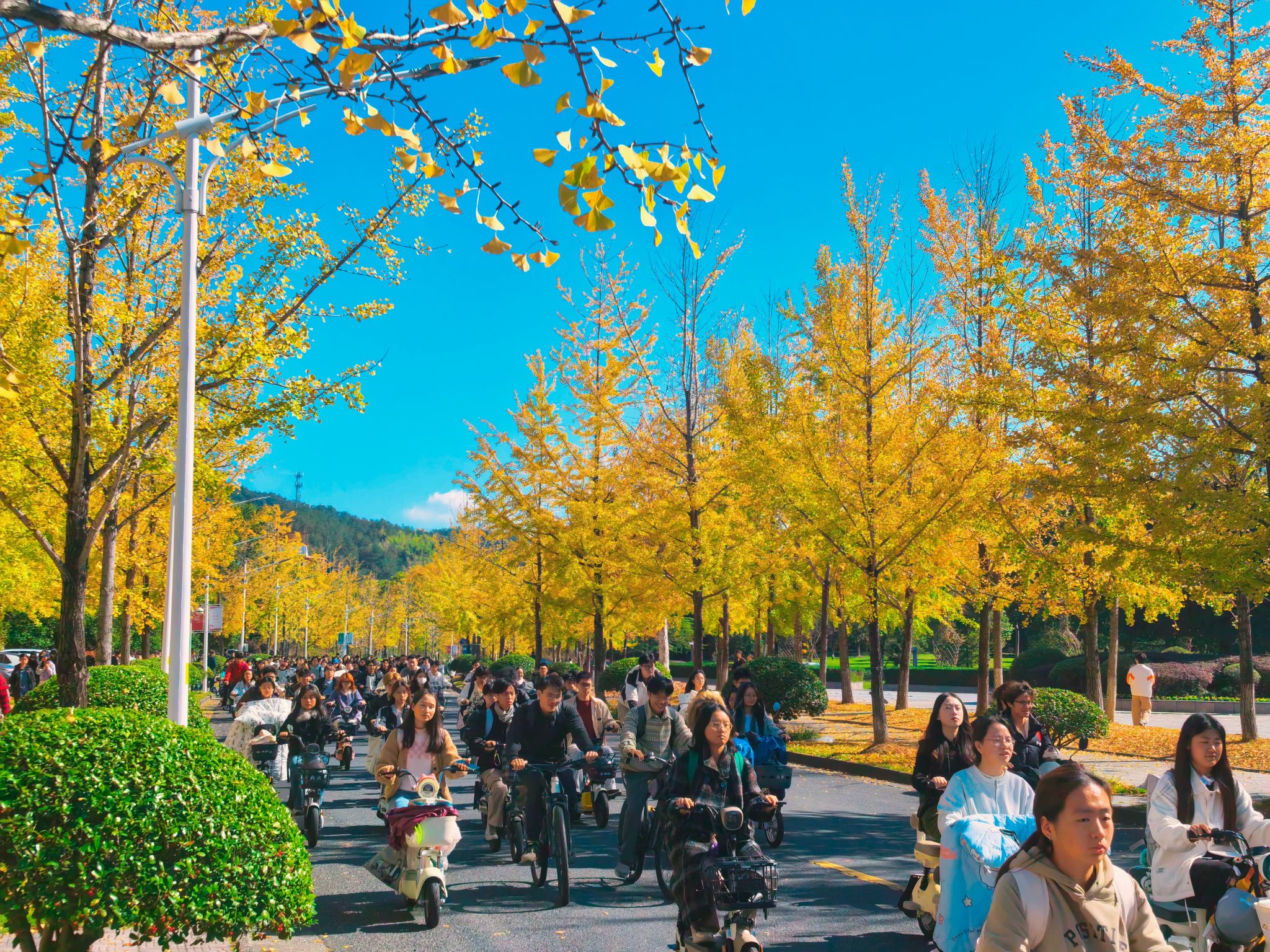 美女的隐藏部位是什么图片