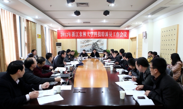 美女的隐藏部位是什么图片
