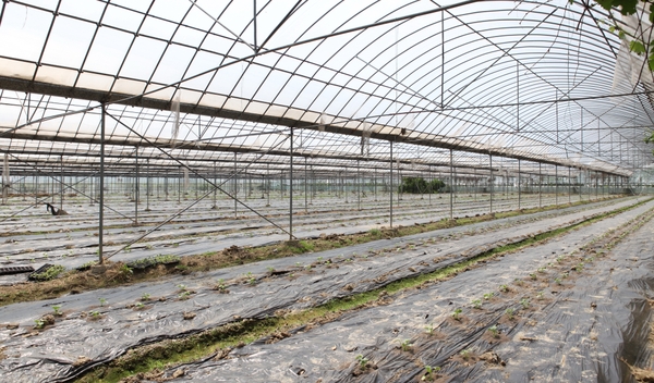 美女的隐藏部位是什么图片