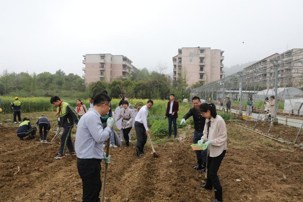 美女的隐藏部位是什么图片