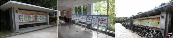 美女的隐藏部位是什么图片