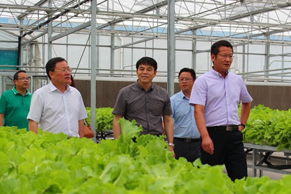 美女的隐藏部位是什么图片