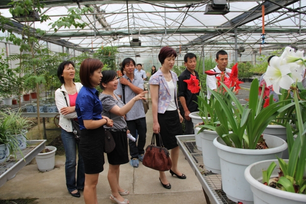 美女的隐藏部位是什么图片