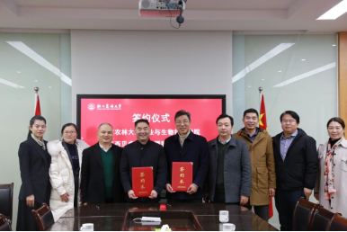 美女的隐藏部位是什么图片