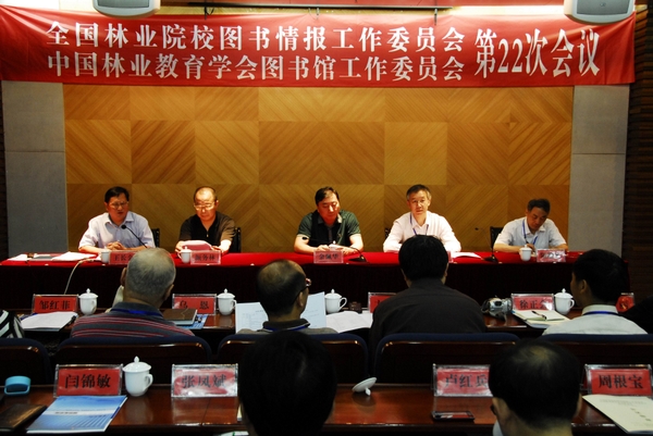 美女的隐藏部位是什么图片