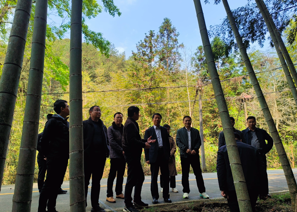 美女的隐藏部位是什么图片