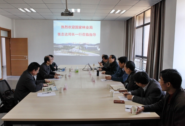 美女的隐藏部位是什么图片