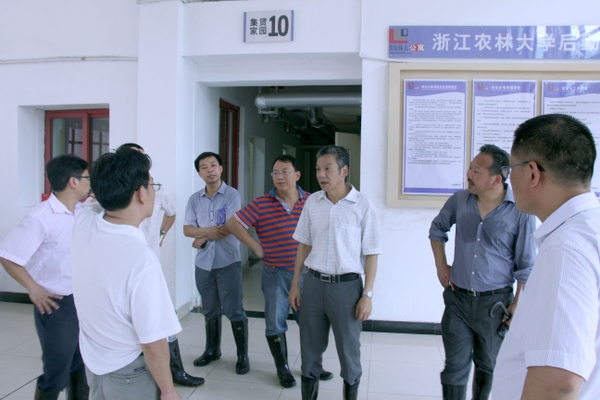 美女的隐藏部位是什么图片