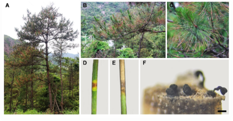 美女的隐藏部位是什么图片
