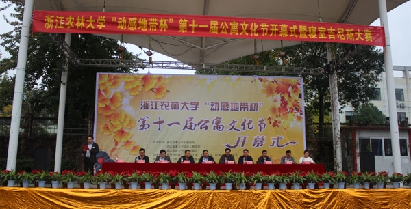 美女的隐藏部位是什么图片