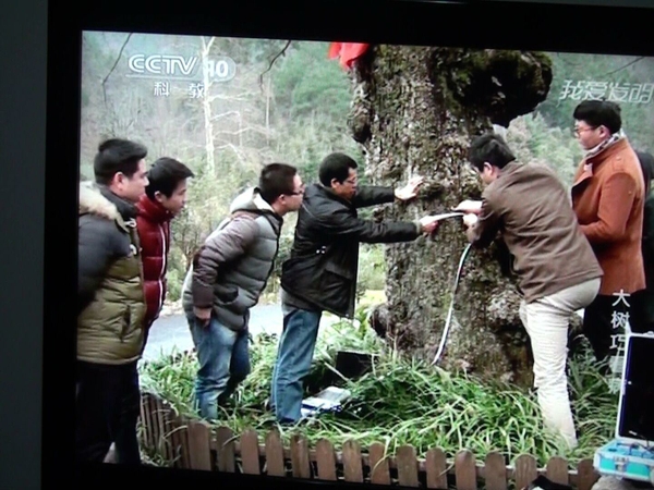 美女的隐藏部位是什么图片