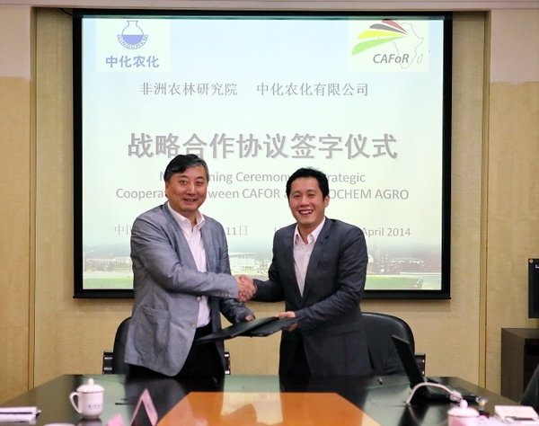 美女的隐藏部位是什么图片