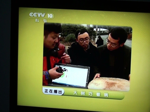 美女的隐藏部位是什么图片