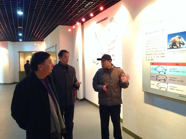 美女的隐藏部位是什么图片