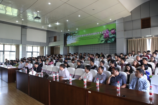 美女的隐藏部位是什么图片