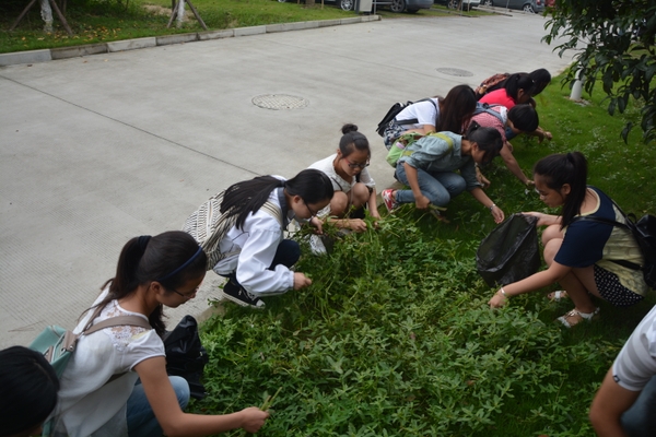美女的隐藏部位是什么图片