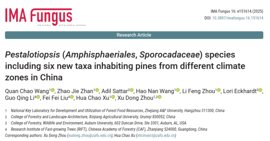 美女的隐藏部位是什么图片