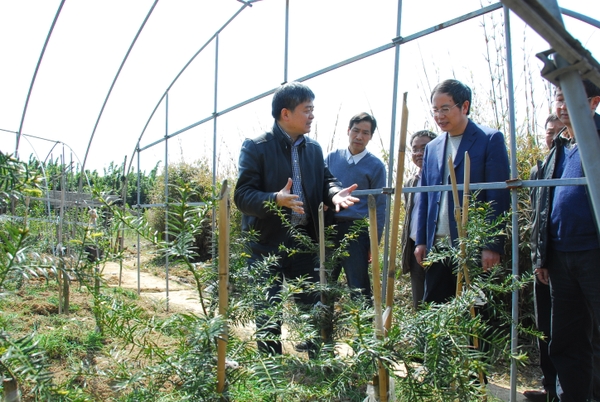 美女的隐藏部位是什么图片