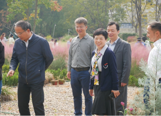 美女的隐藏部位是什么图片