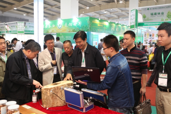 美女的隐藏部位是什么图片