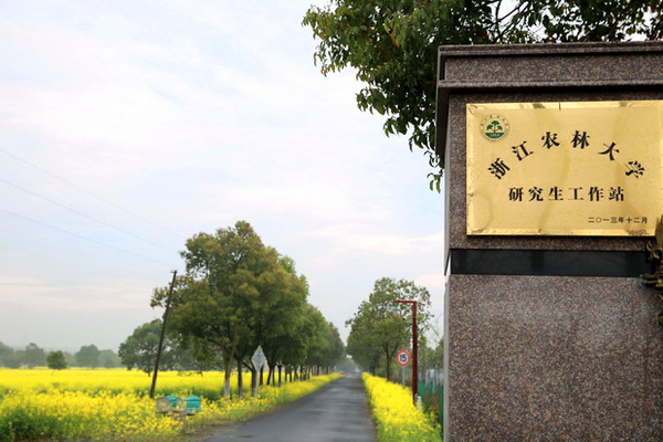 美女的隐藏部位是什么图片