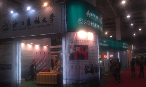 美女的隐藏部位是什么图片