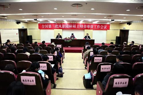 美女的隐藏部位是什么图片