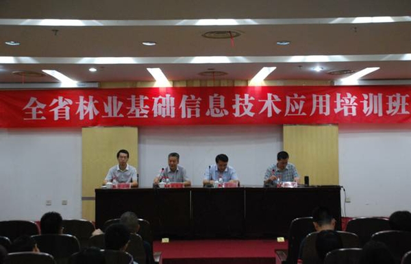 美女的隐藏部位是什么图片