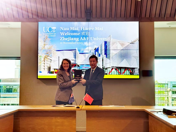 美女的隐藏部位是什么图片