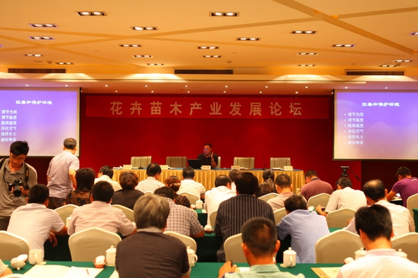 美女的隐藏部位是什么图片