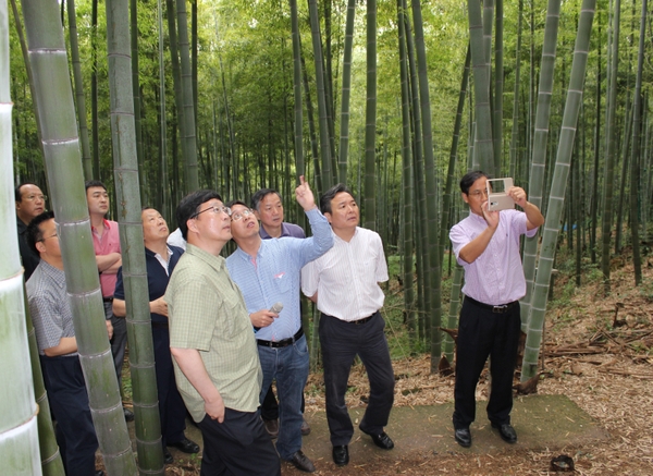 美女的隐藏部位是什么图片