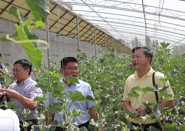 美女的隐藏部位是什么图片