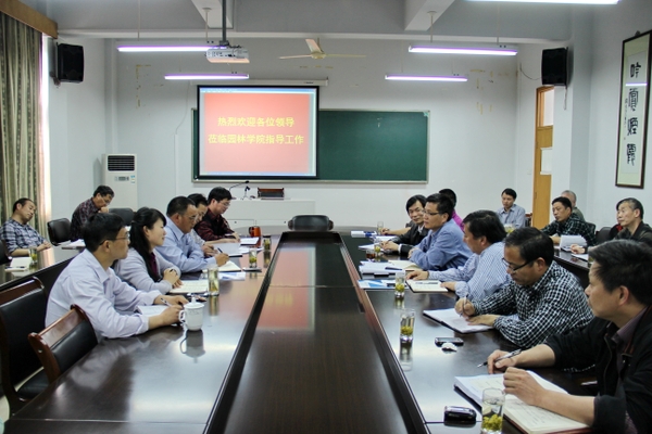 美女的隐藏部位是什么图片