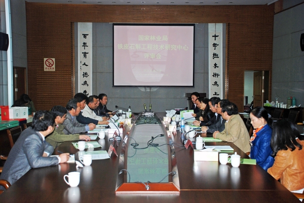 美女的隐藏部位是什么图片