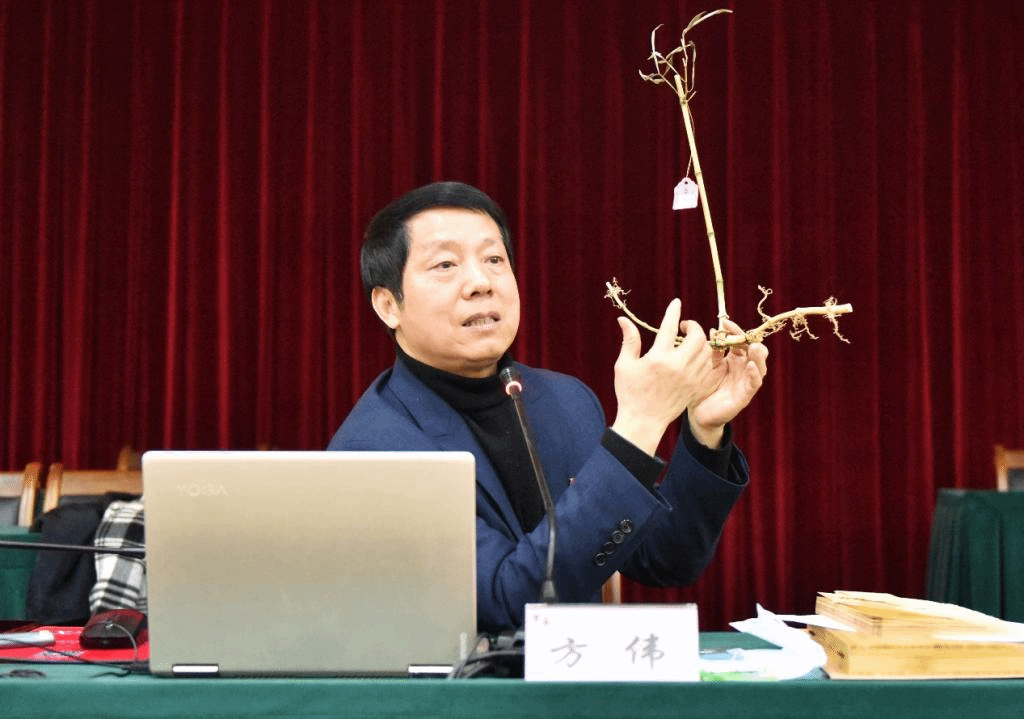 美女的隐藏部位是什么图片