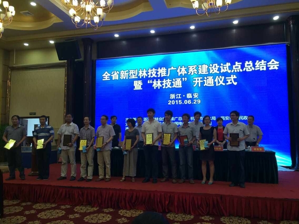 美女的隐藏部位是什么图片