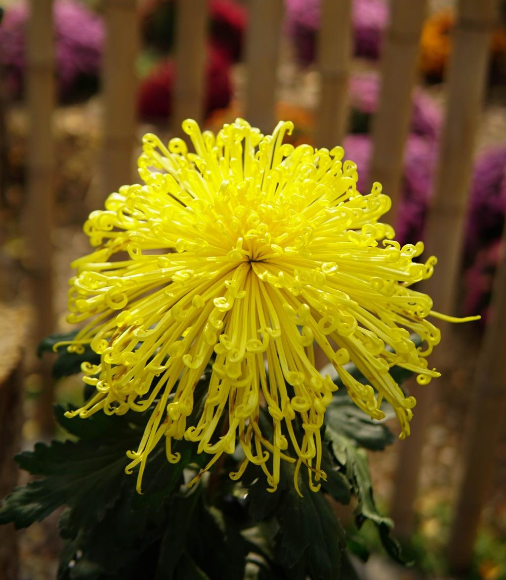 美女的隐藏部位是什么图片