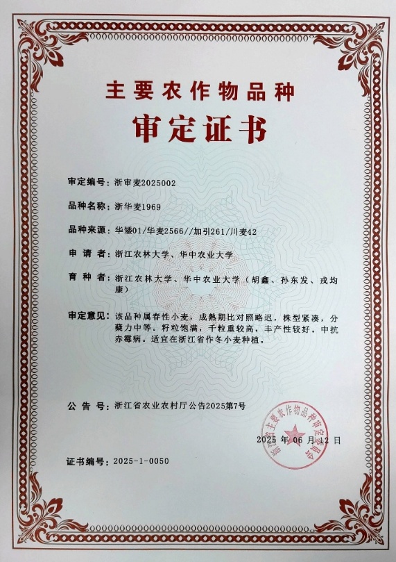 美女的隐藏部位是什么图片