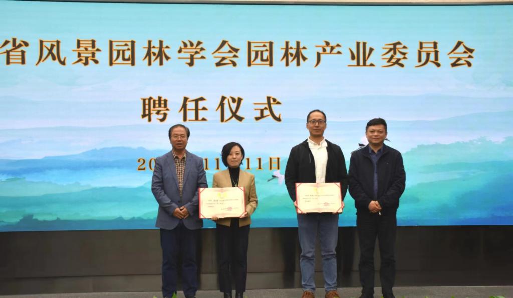 美女的隐藏部位是什么图片